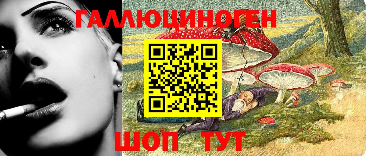 Галлюциногенные грибы Psilocybe Новоалександровск